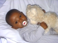 abdel